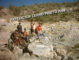 Cerro Prieto 2008