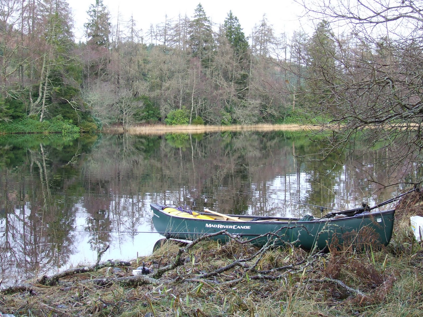 [DSCF4212.JPG]