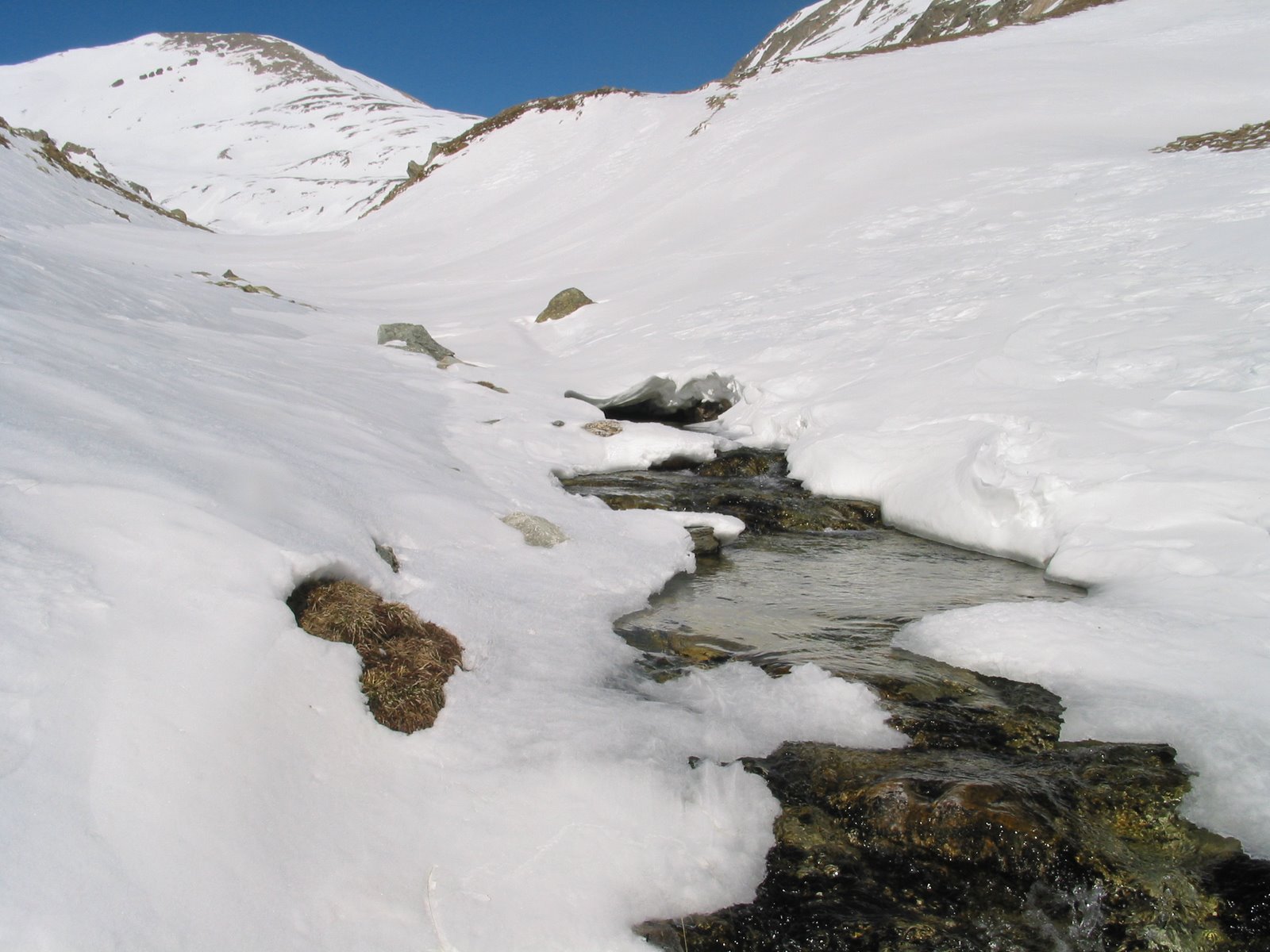 [BASTIMENTS-+BALANDRAU+033.jpg]