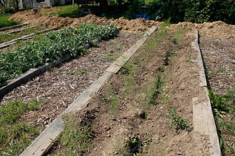 Growing the Growers Filming Trip: Polyface Gardens