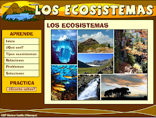 LOS ECOSISTEMAS