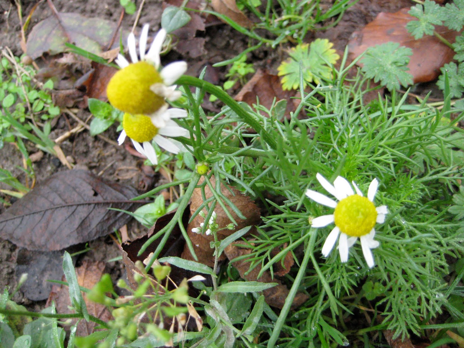 [IMG_5889.jpg]