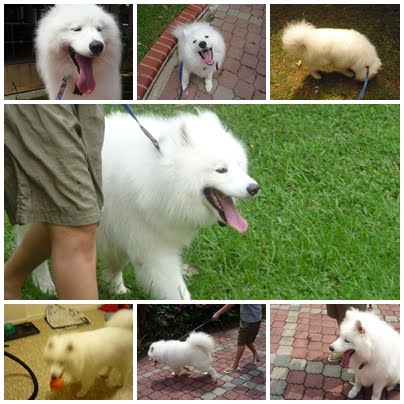 [weisske.jpg]