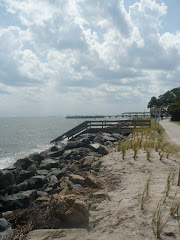 ST. SIMONS COAST