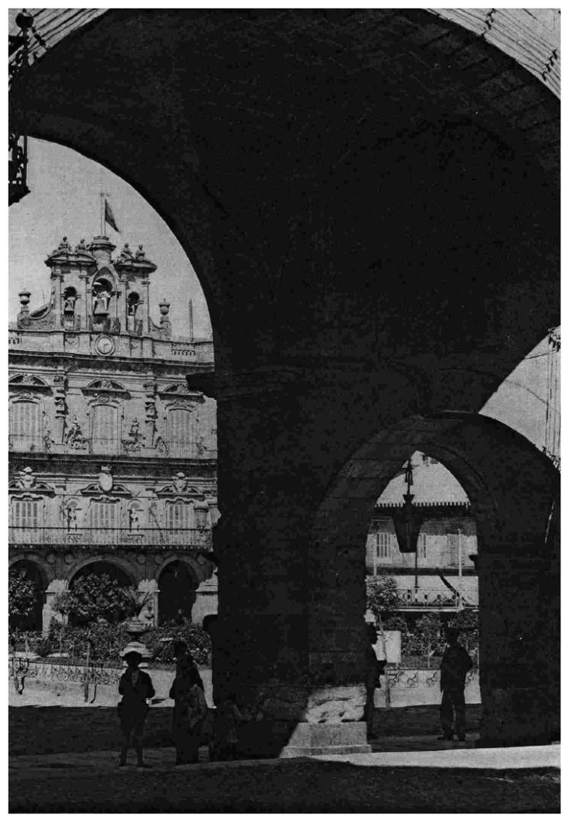 Tierra charra Plaza Mayor de Salamanca