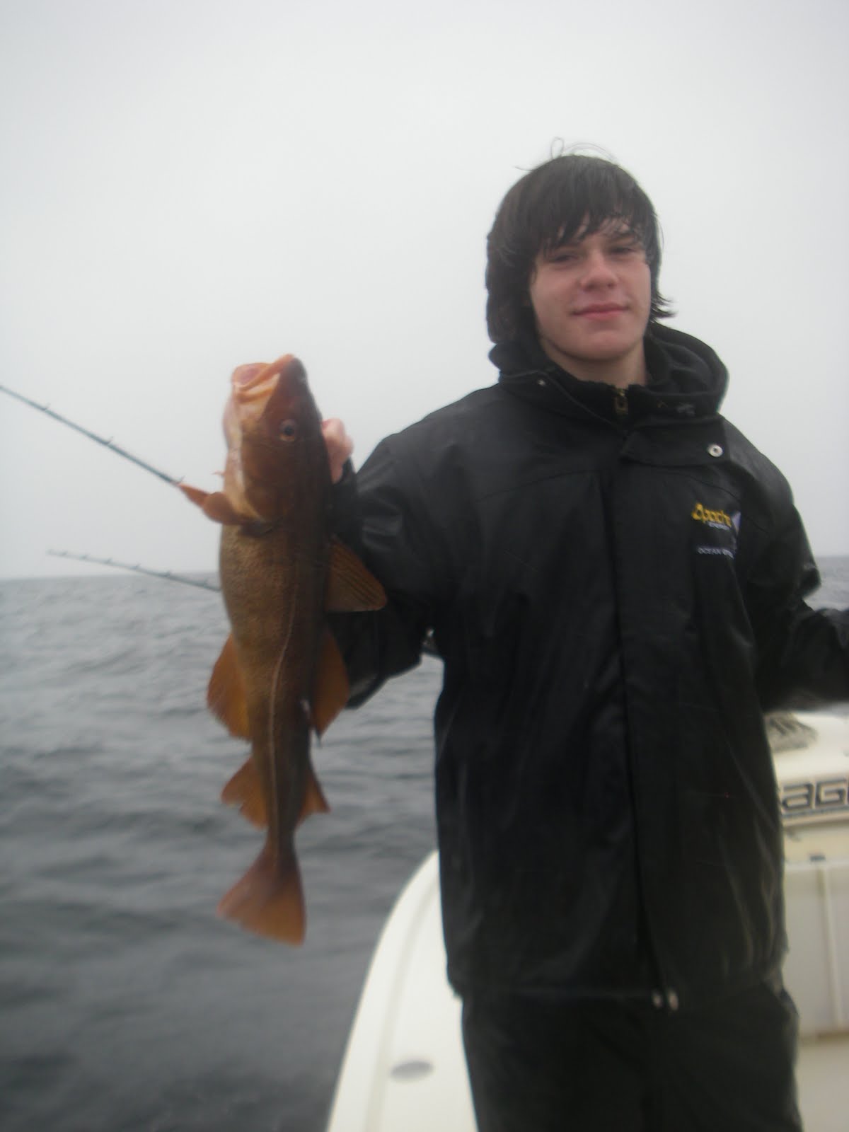 Maine Striper Fishing Charters & Reports Hotline 2076910745 Maine