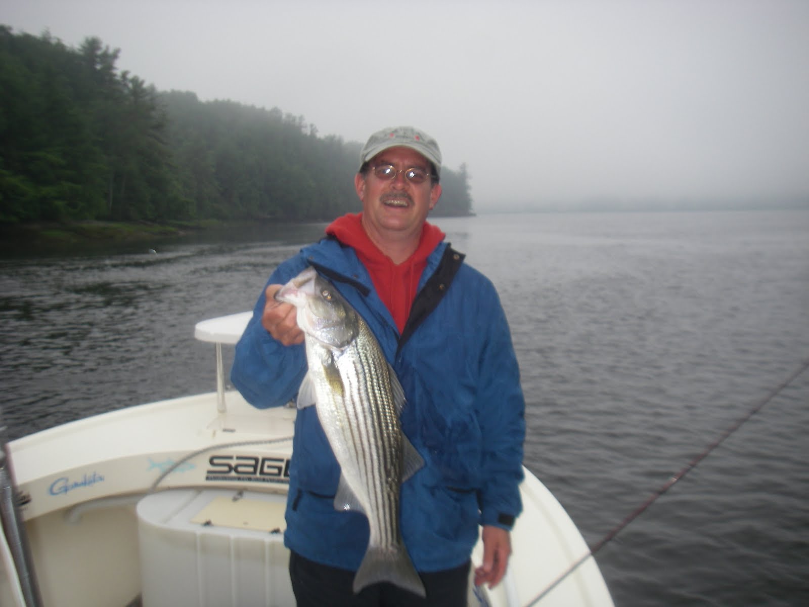 Maine Striper Fishing Charters & Reports Hotline 2076910745 Maine