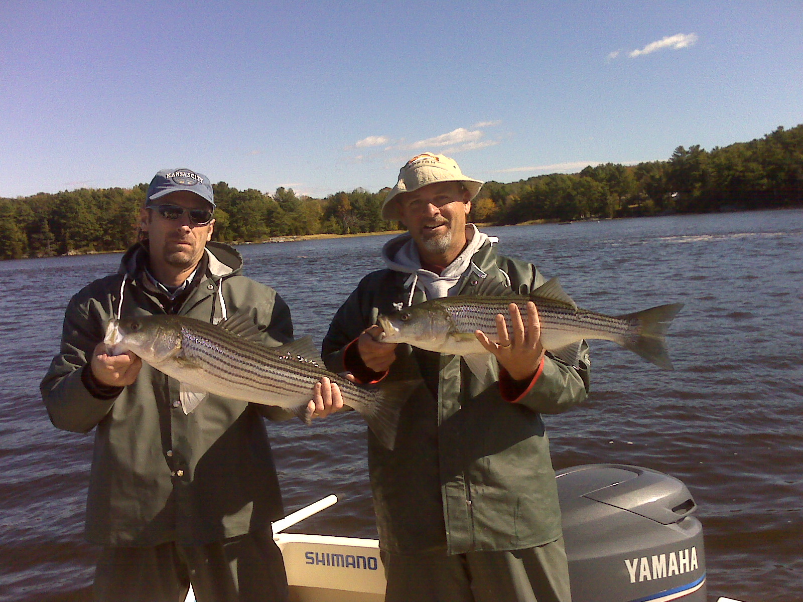 Maine Striper Fishing Charters & Reports Hotline 2076910745 October 2010
