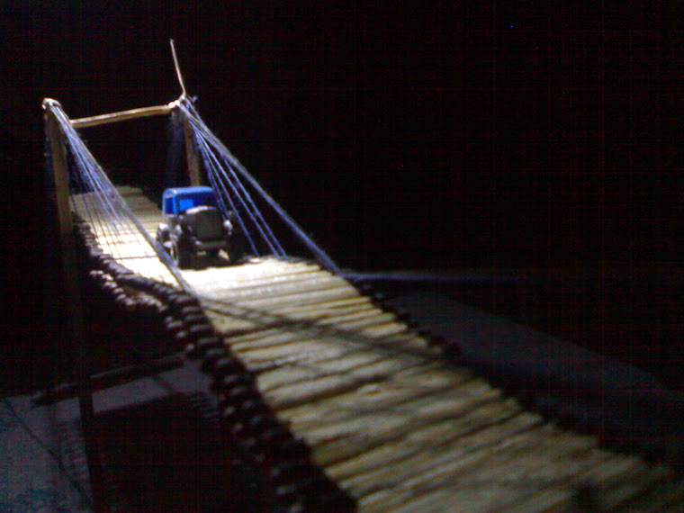 homemade suspension bridge 11