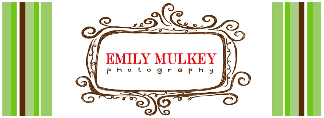 Emily Mulkey Photography Blog