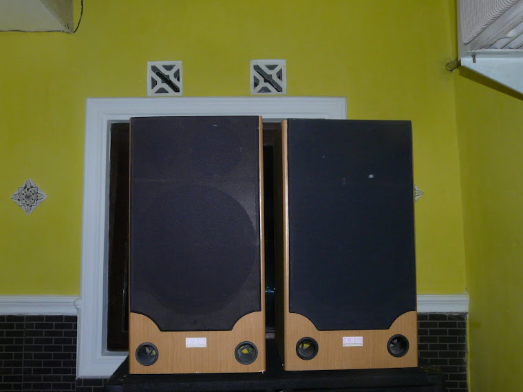 speaker home 12 inch