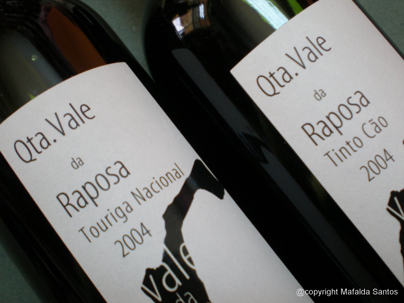 [raposa+tn+e+tc+04+copy.jpg]