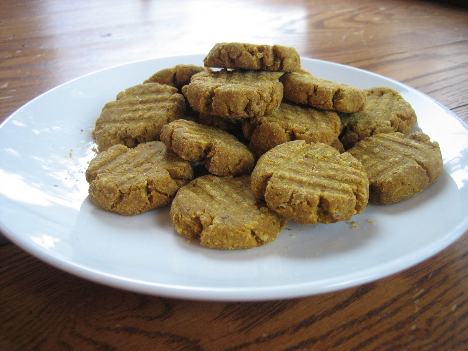 the-greyhound-beckett-his-dog-treats-peanut-butter-pumpkin-dog