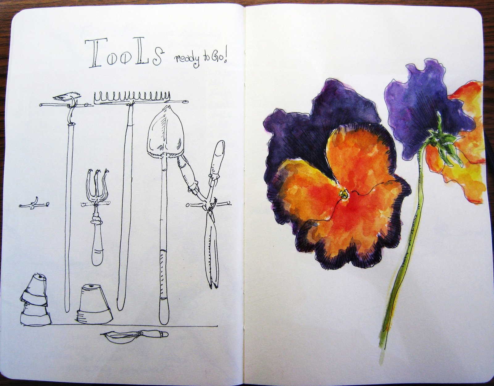 [tools+and+pansy.jpg]