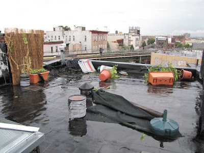 Bushwick, Brooklyn Tornado Damage