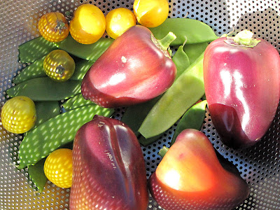 Bushwick Rooftop Container Vegetable Harvest