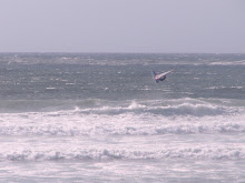 barra beach big day  2007