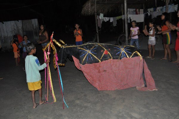 Boi do Cumpadão: Tradição nordestina se destaca em projeto cultural