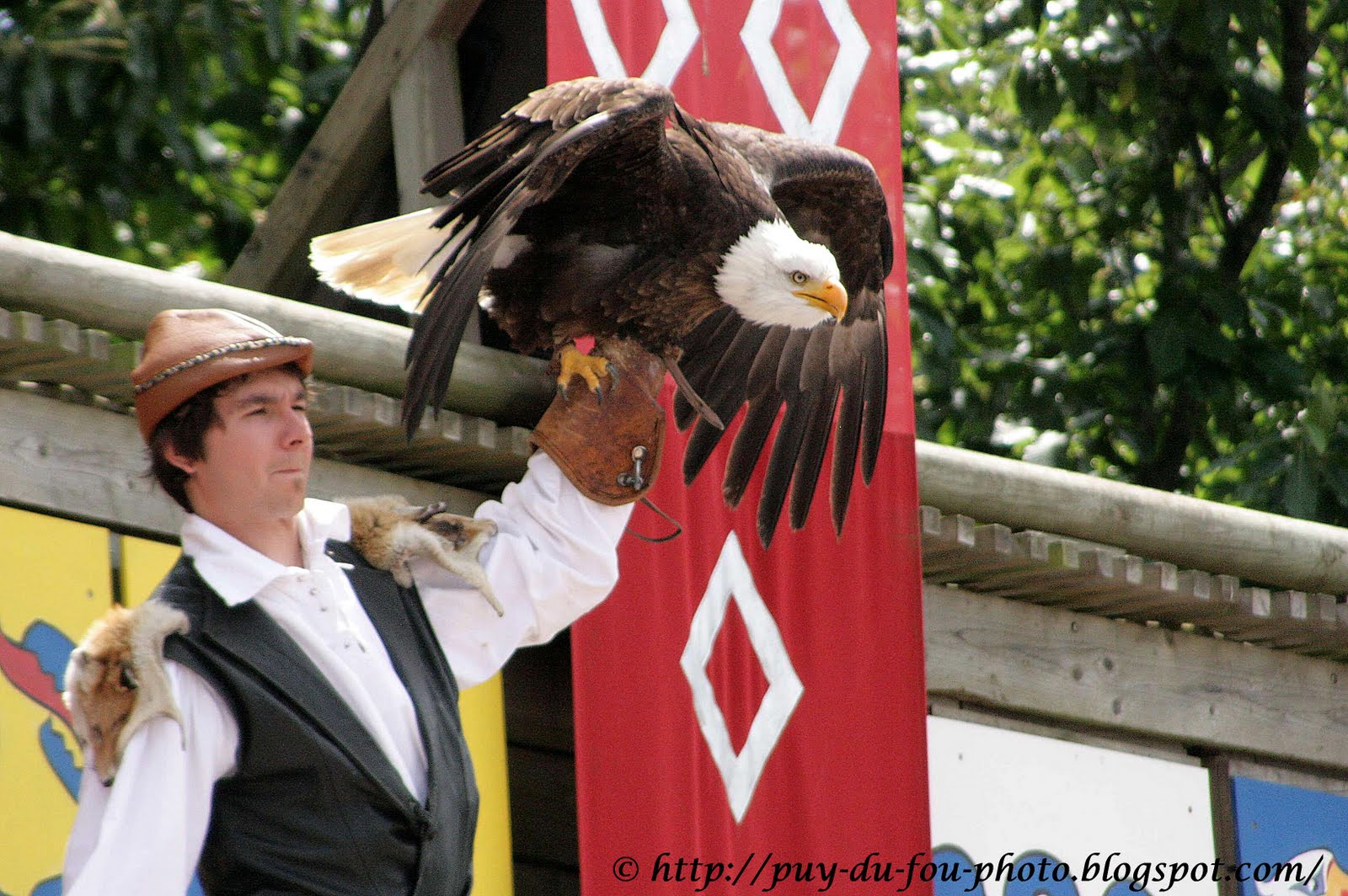 100 Jours Avec Les Animaux Du Puy Du Fou Puy du Fou: Le bal des oiseaux fantômes - Le Puy du Fou