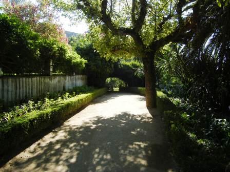 [Abrantes,+jardim+do+castelo.JPG]
