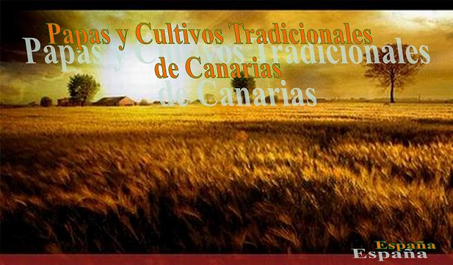 Papas y Cultivos Tradicionales de Canarias