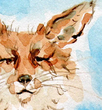 My Little red fox story and Watercolor