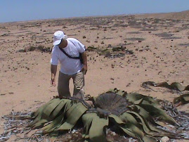 2010 Março - Deserto do Namibe