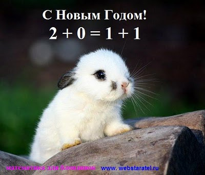 С Новым Годом. 2011 год. Белый кролик. Математика для блондинок.
