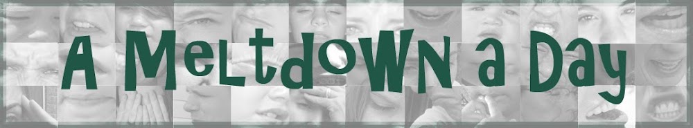A Meltdown A Day