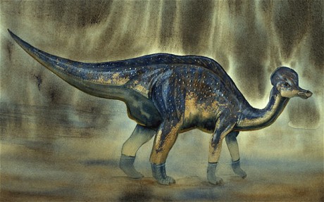 dinosaurs survived
