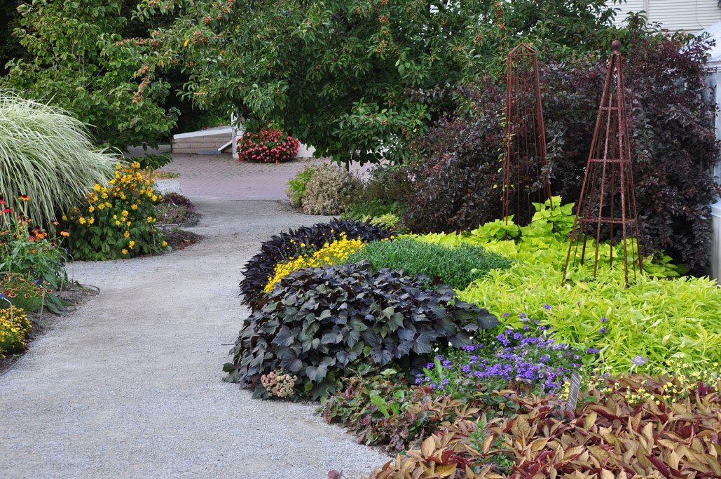 Three Dogs in a Garden Fall Colors at Edward's Gardens in Toronto