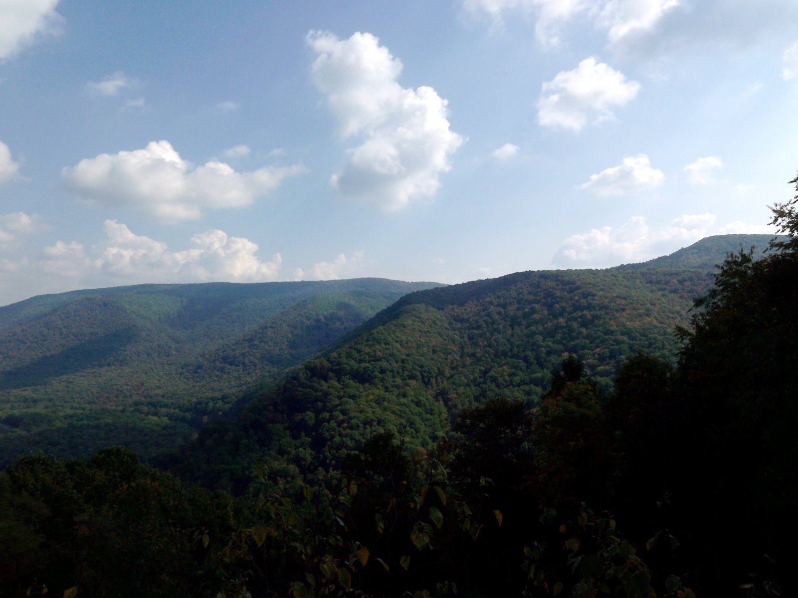 [100_0086.JPG]
