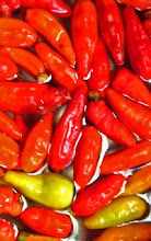jalapeno? no! it's cabe rawit!