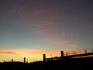 sunset at farm