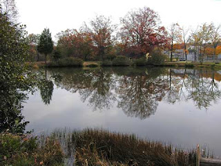 pond at dusk