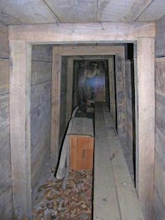 wood lined tunnel