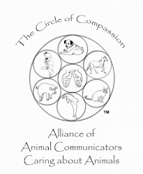 Alliance of Animal Communicators Caring About Animals (AACCA)