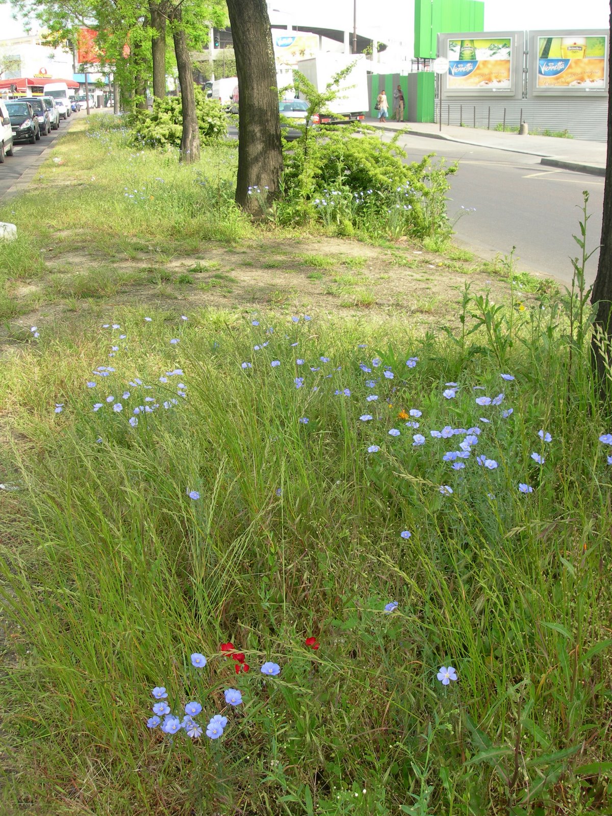 [DSCN4872.JPG]