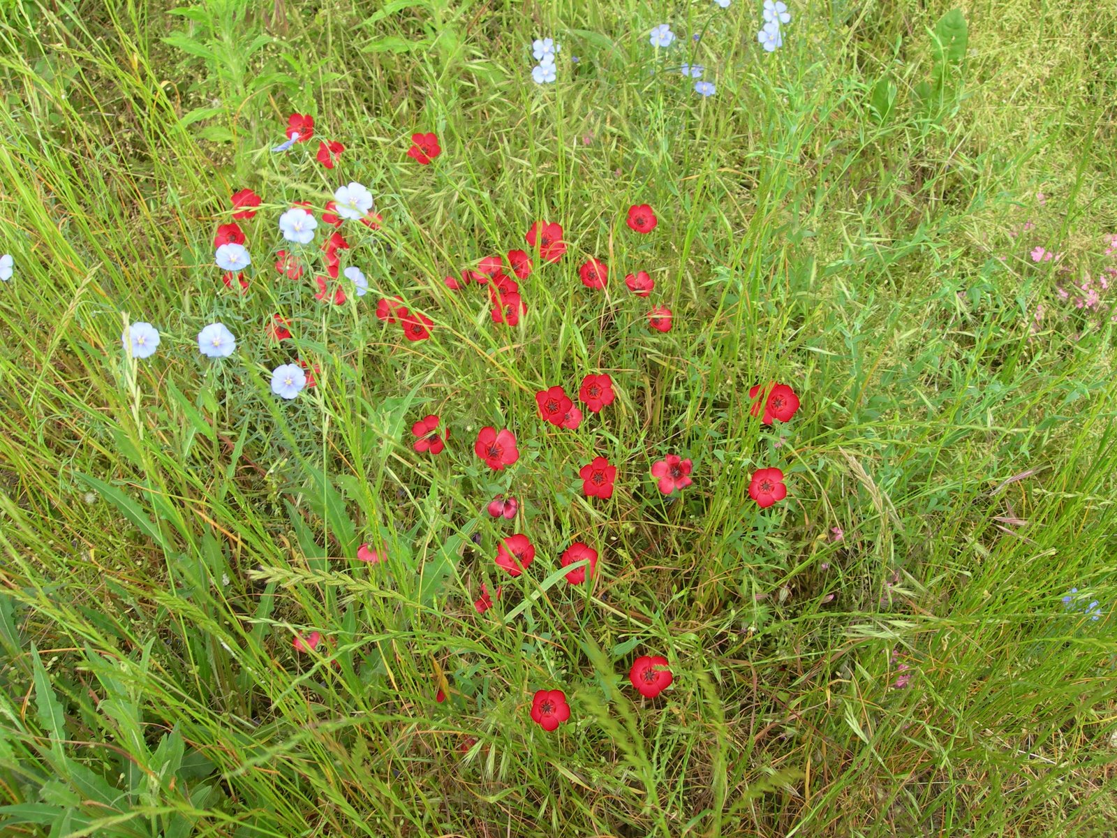 [DSCN4877.JPG]