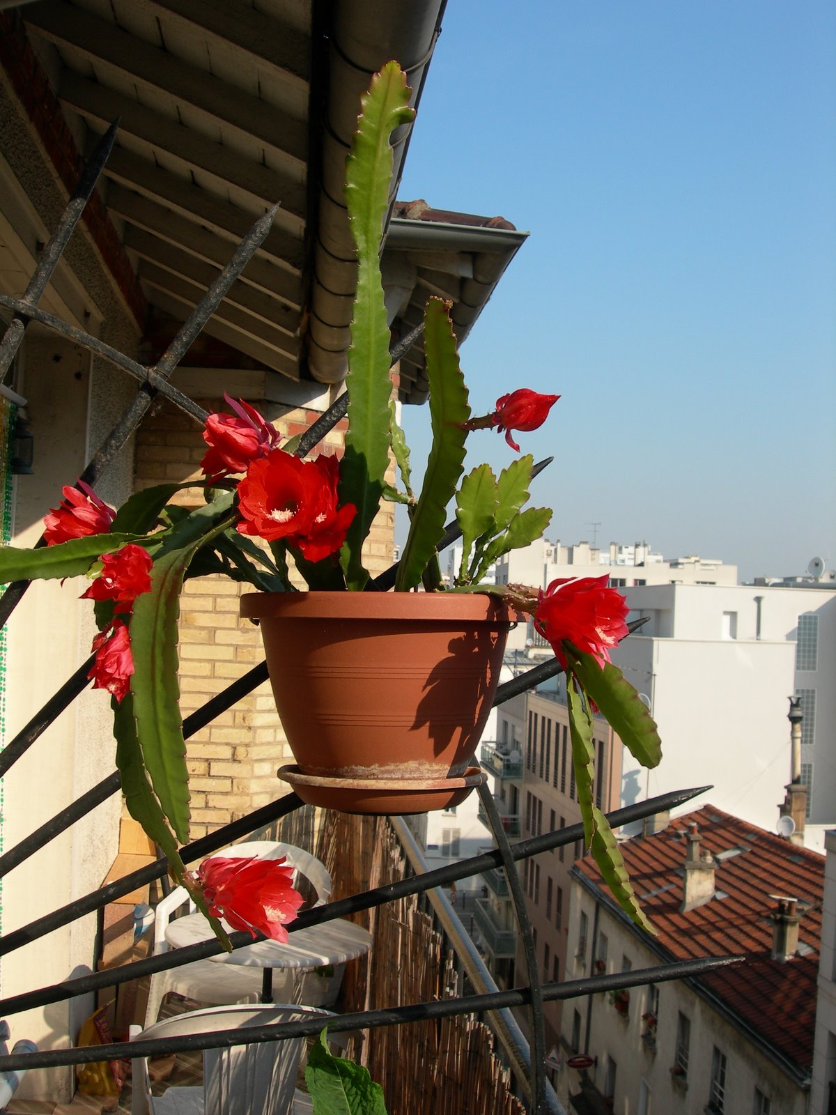 [DSCN5943.JPG]