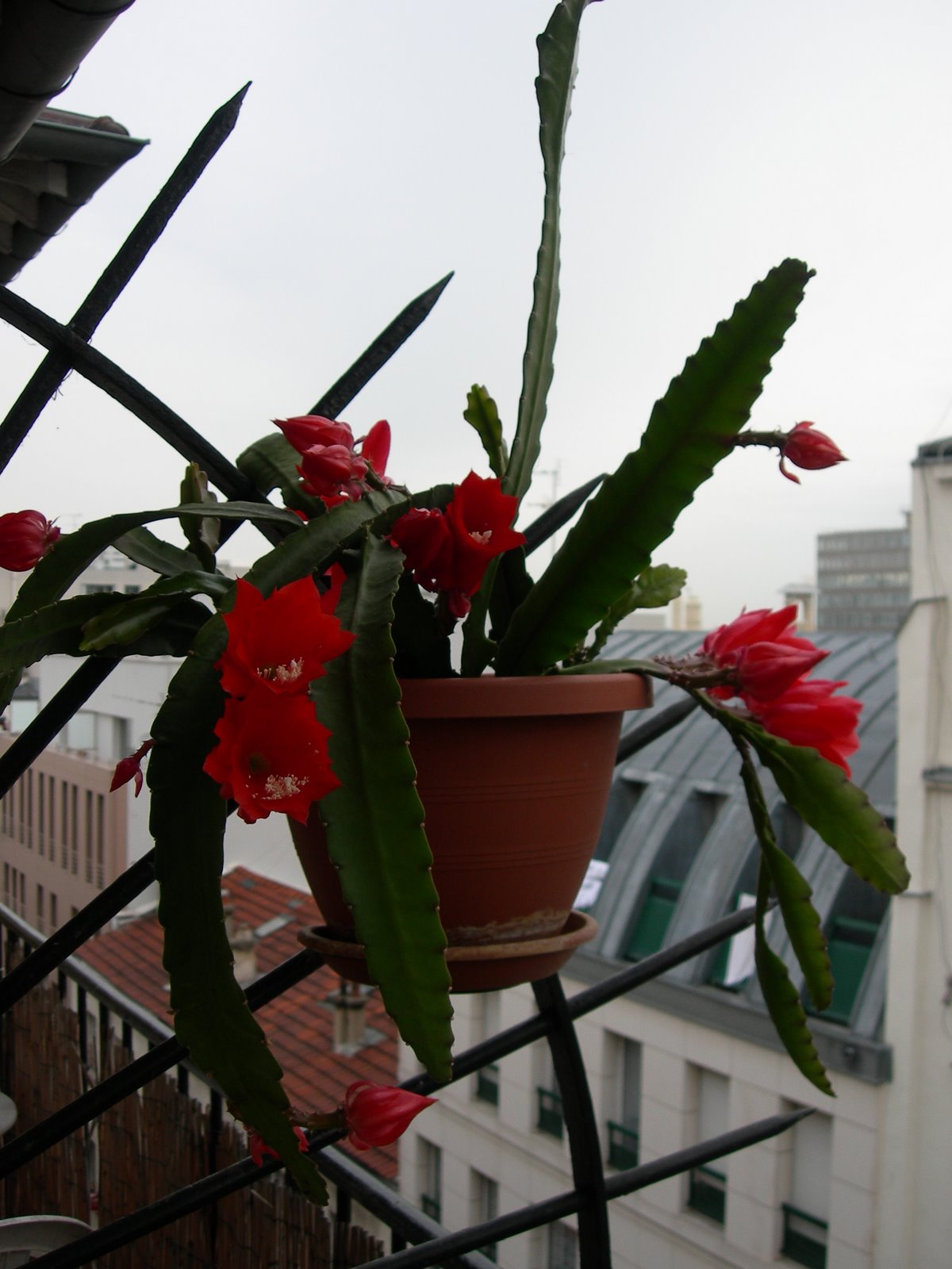 [DSCN5905.JPG]