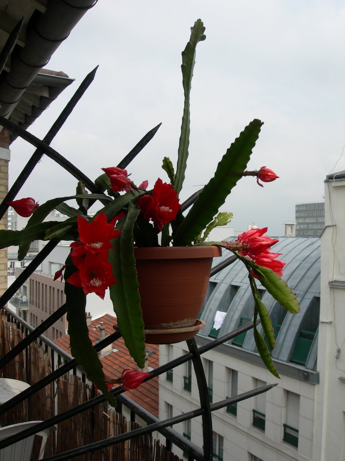 [DSCN5908.JPG]