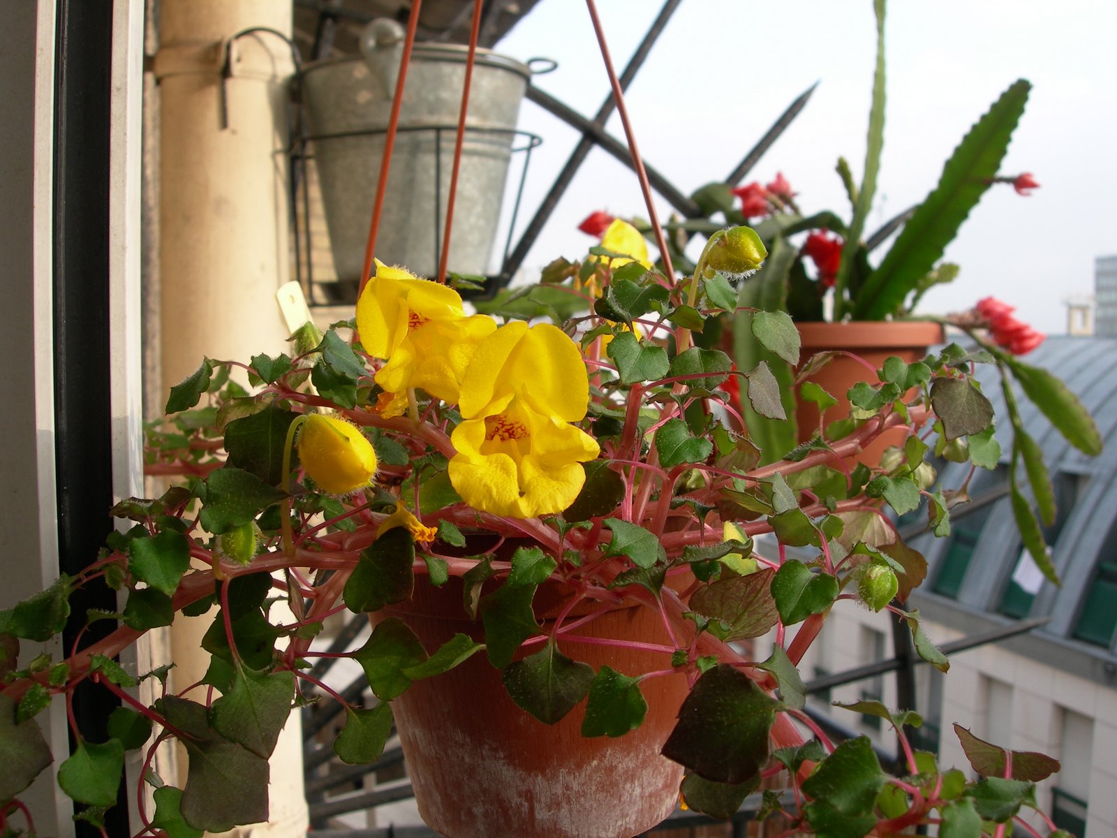 [DSCN5831.JPG]