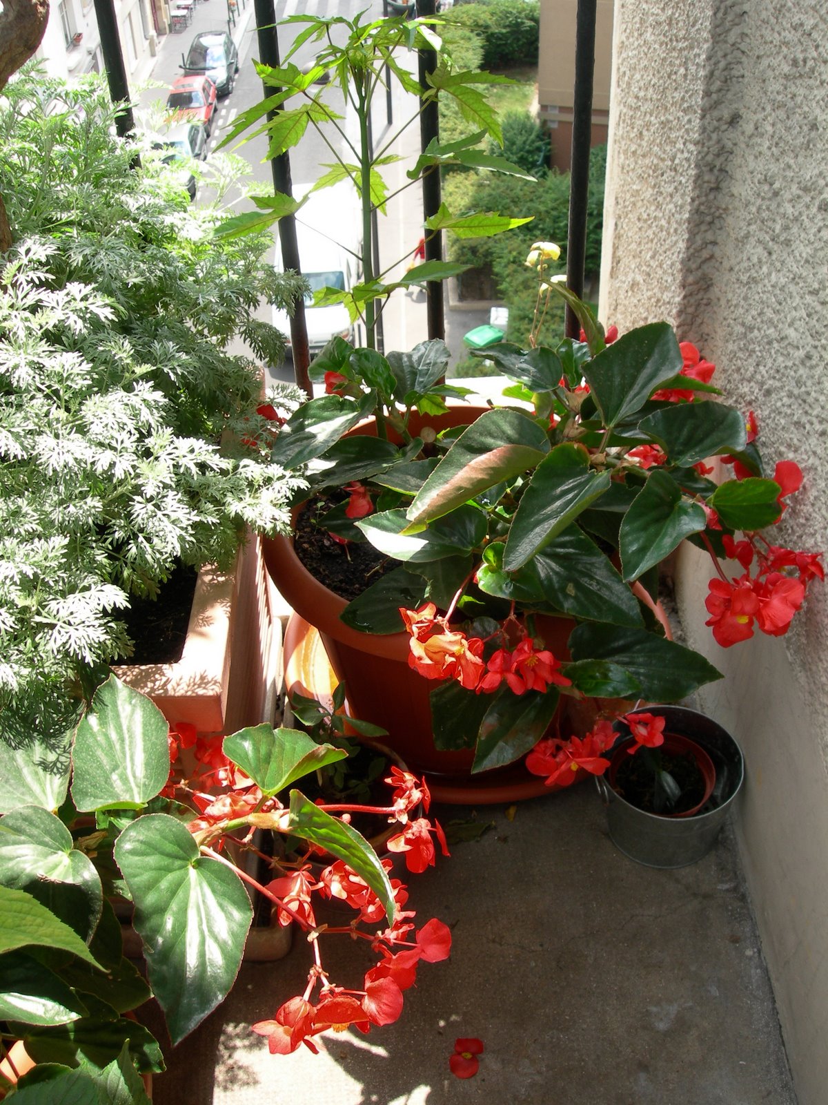 [DSCN6301.JPG]