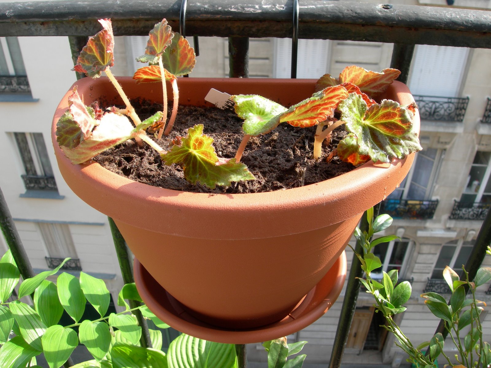 [DSCN4975.JPG]