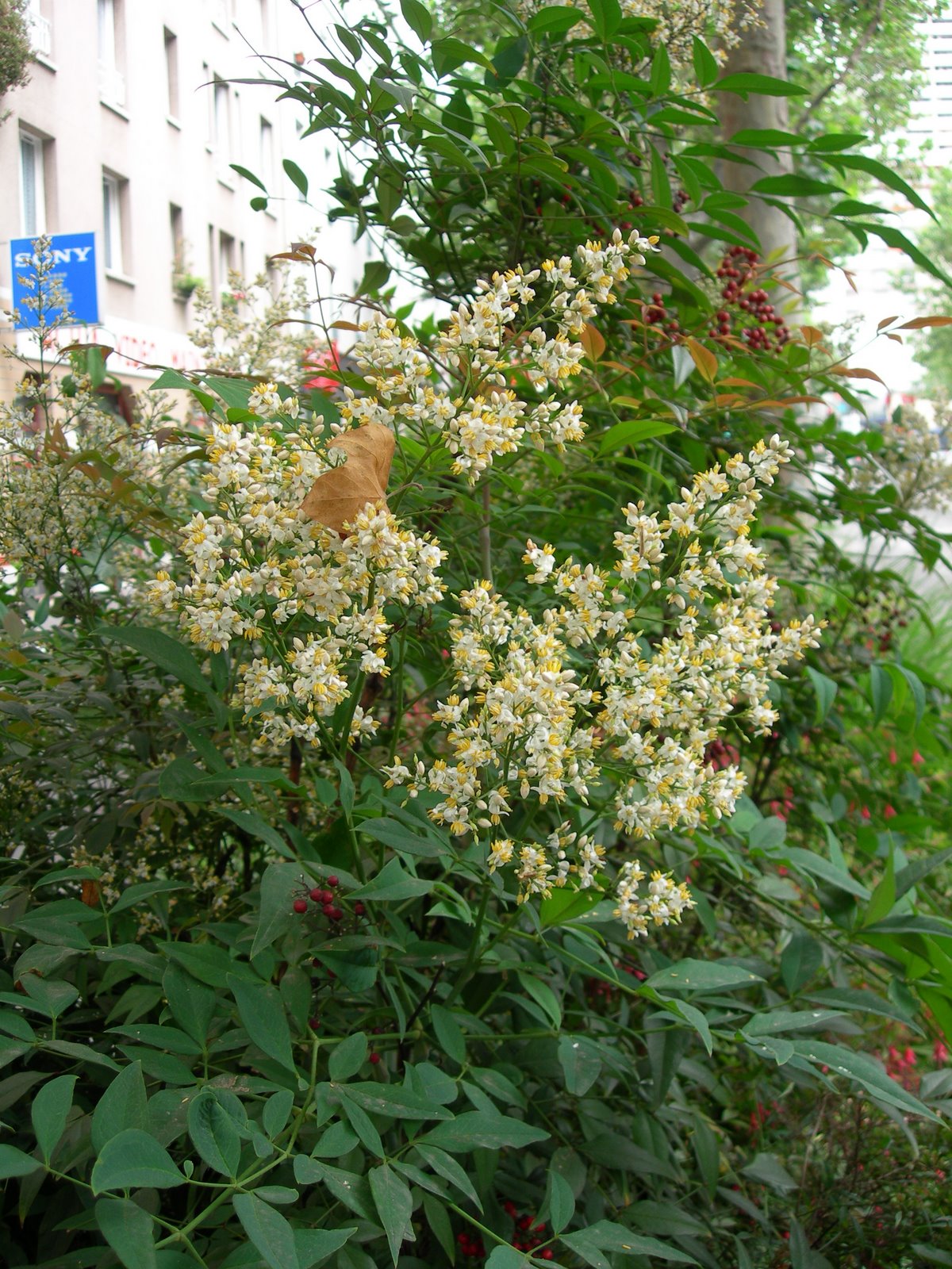 [DSCN6391.JPG]