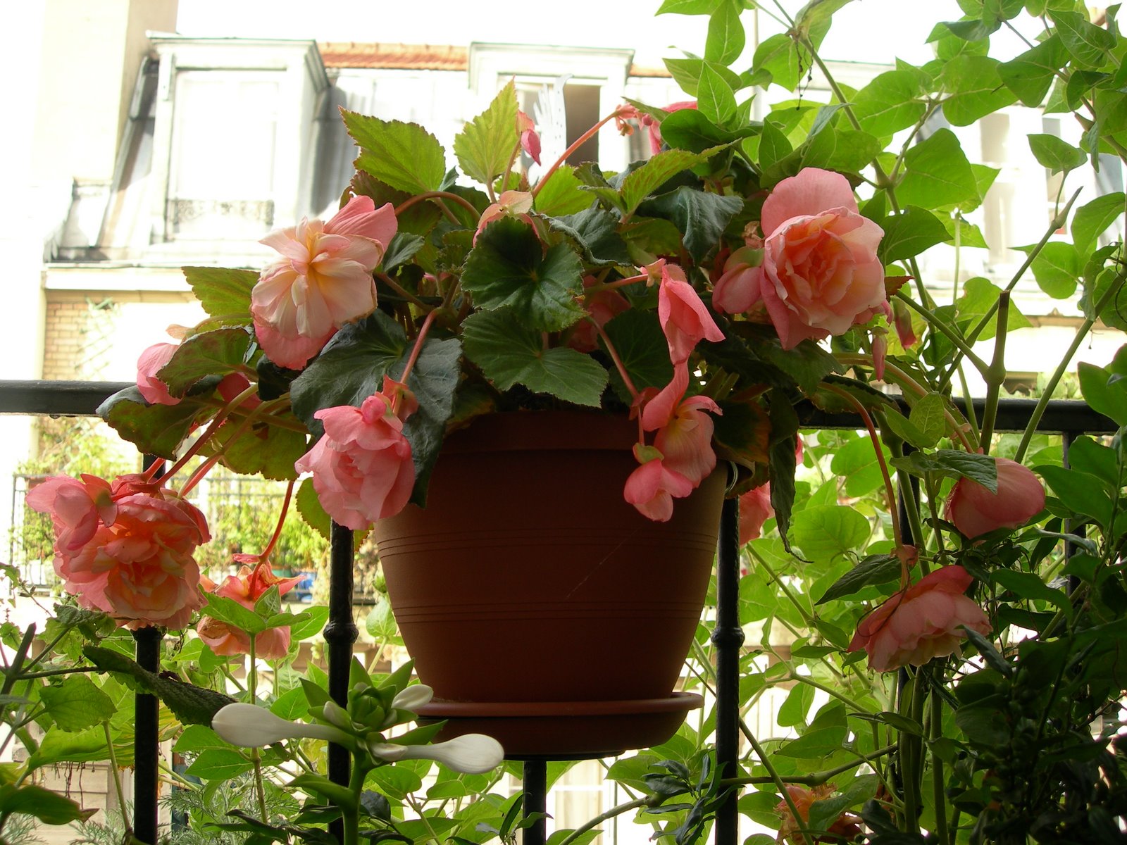 [DSCN7379.JPG]