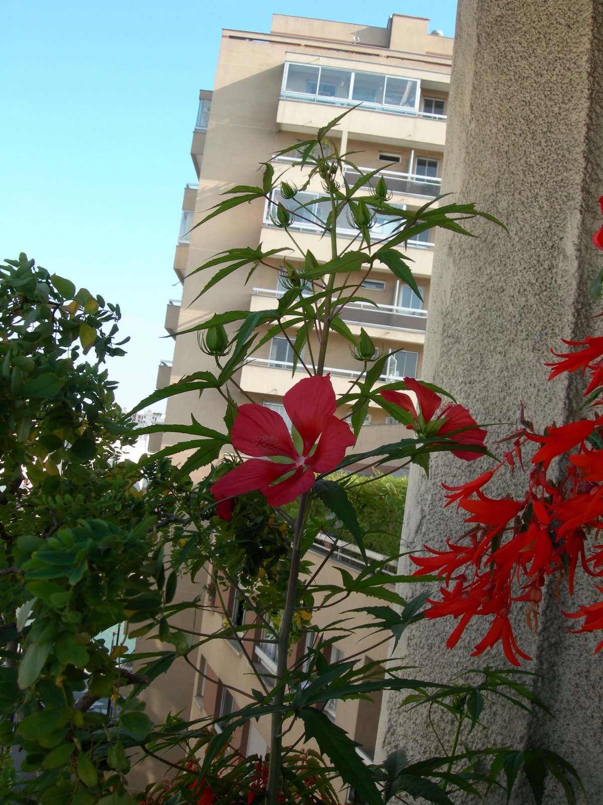 [DSCN8187.JPG]
