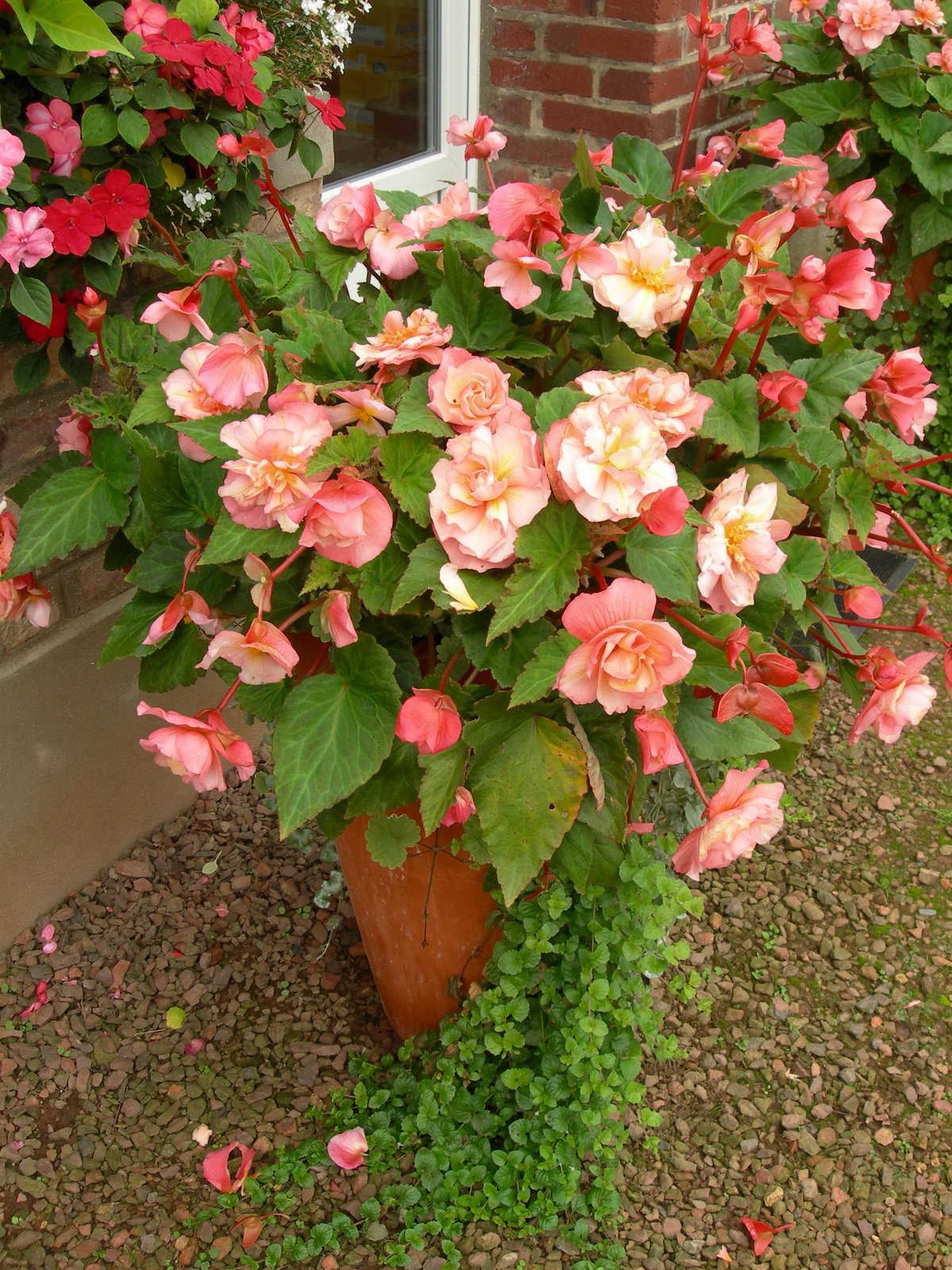 [DSCN8158.JPG]