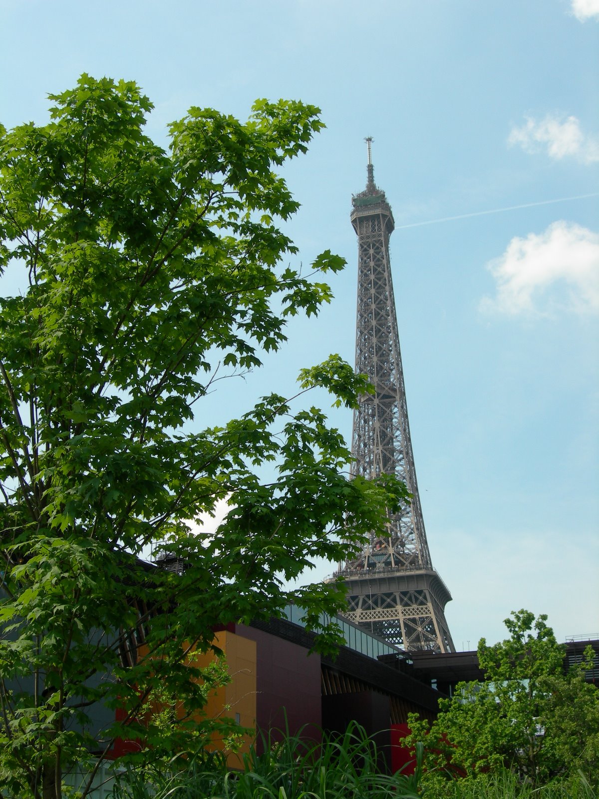 [DSCN5537.JPG]